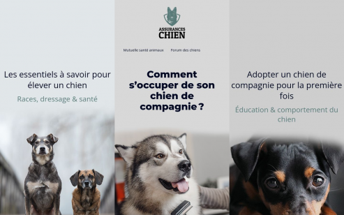 https://www.assuranceschien.fr